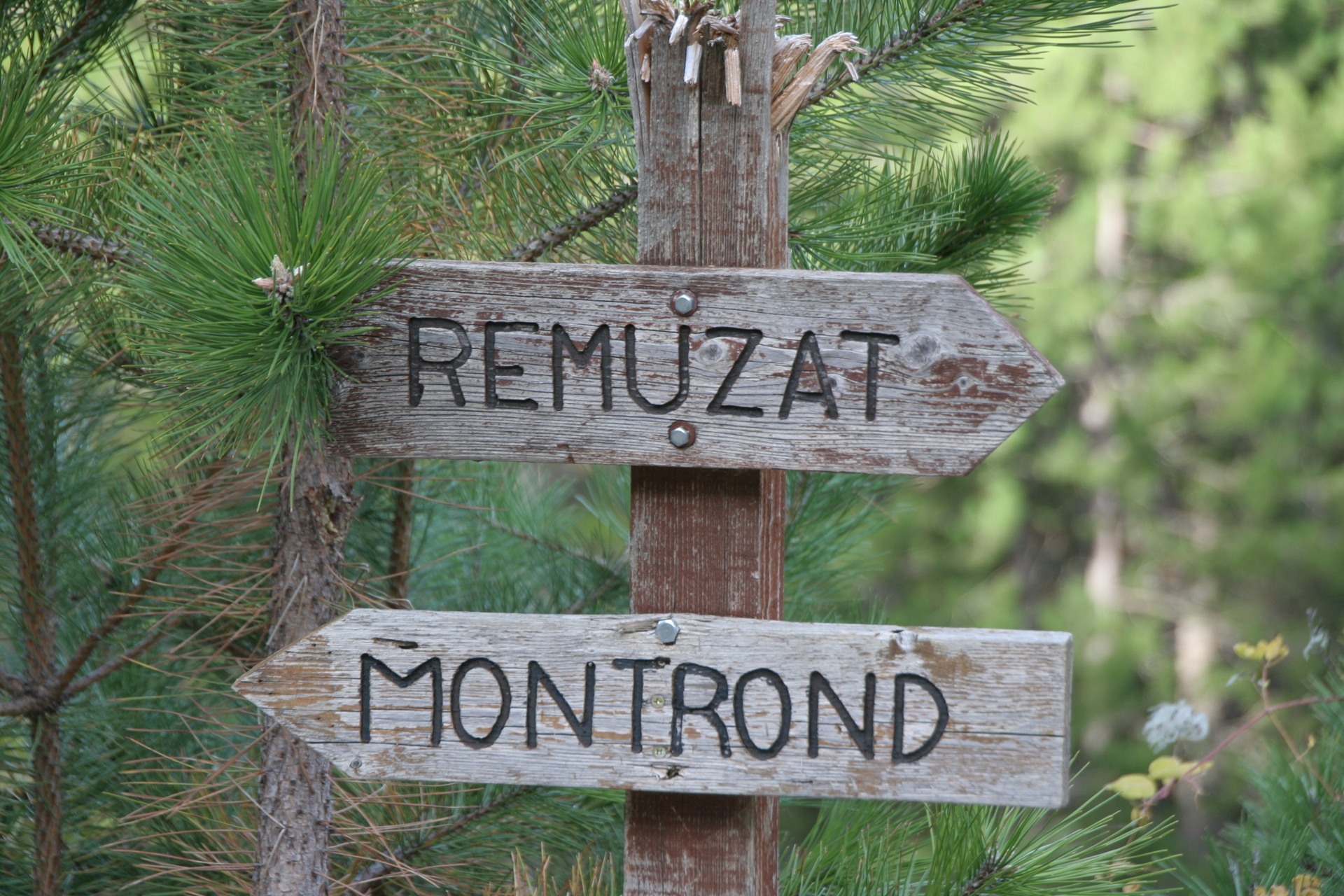 Rémuzat 