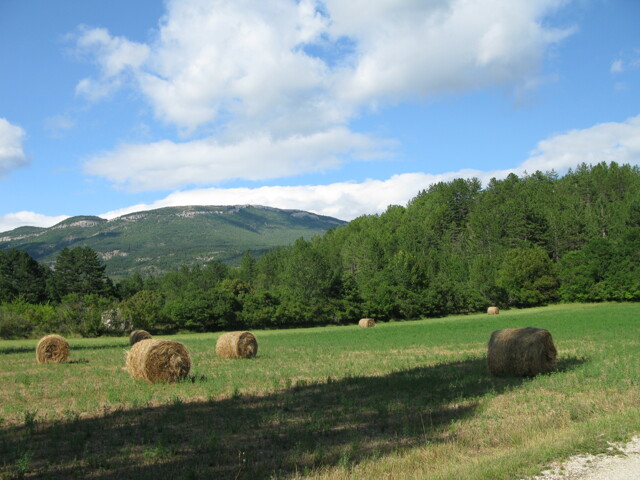 Saison des foins Rémuzat